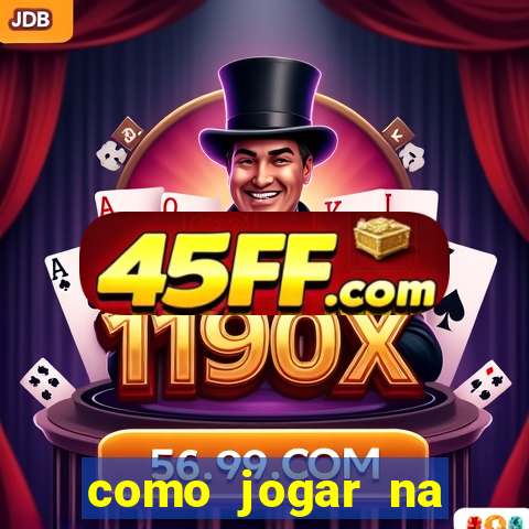 como jogar na lotinha do jogo do bicho